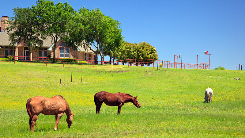 Fair Oaks Ranch Homes For Sale Gahm Real Estate